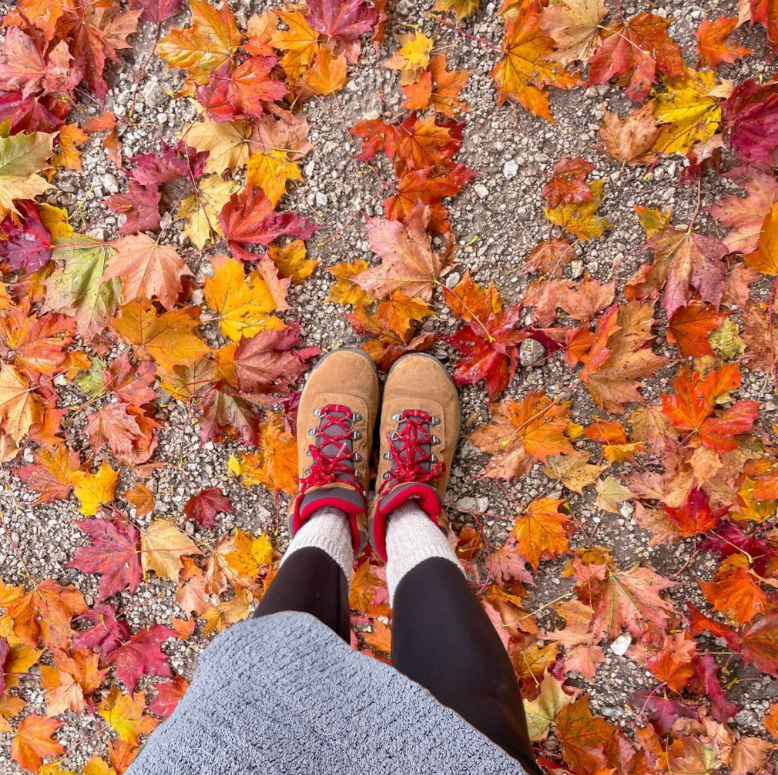 A Cozy Fall Bucket List